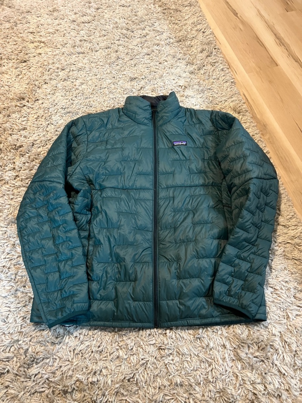 Patagonia Men's Micro Puff® Jacket - Cascade Green - Picture 6 of 7